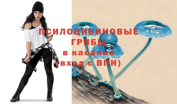 хмурый Нязепетровск
