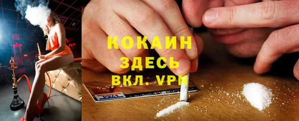 крисы Осинники