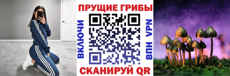 Галлюциногенные грибы GOLDEN TEACHER Новоульяновск
